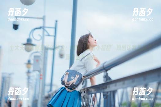 士大夫与河豚抚子的结合：她的‘圣诞小甜甜’原图让我想起了鲸鱼的亲和力